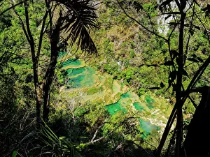 Ponds Prints: Semuc Champey Natural Monument, elevated view, Lanquin, Alta Verapaz Department, Guatemala