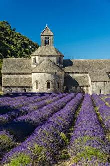 Picturesque Gallery: Senanque Abbey or Abbaye Notre-Dame de Senanque with lavender field in bloom, Gordes
