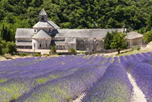Senanque Abbey, Provence, France