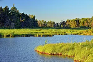 Eco Tourism Prints: Seney wetlands in early summer, Seney NWR, Michigan, USA