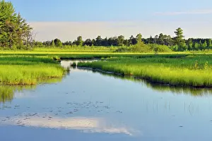Eco Tourism Prints: Seney wetlands in early summer, Seney NWR, Seney, USA
