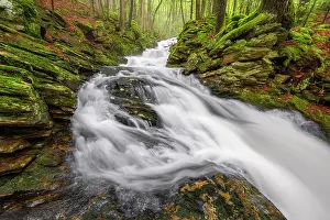 Creek Prints: Senter Falls, Lyndeborough, New Hampshire, USA