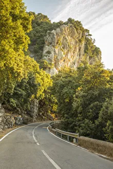 Serra de Tramuntana, Mallorca, Balearic Islands, Spain