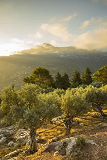 Serra de Tramuntana, Mallorca, Balearic Islands, Spain