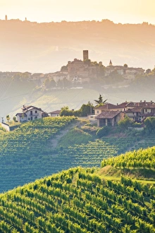 Serralunga d Alba, Barolo wine region, Langhe, Piedemont, Italy