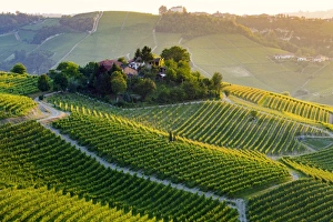 Serralunga d Alba, Barolo wine region, Langhe, Piedemont, Italy