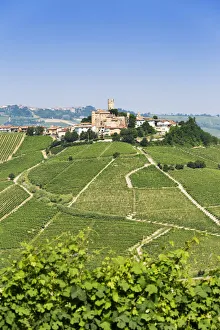 Serralunga d Alba, Barolo wine region, Langhe, Piedemont, Italy