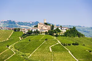 Serralunga d Alba, Barolo wine region, Langhe, Piedemont, Italy