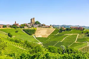 Serralunga d Alba, Barolo wine region, Langhe, Piedemont, Italy