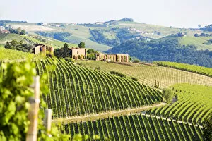 Images Dated 26th June 2017: Serralunga d Alba, Barolo wine region, Langhe, Piedemont, Italy