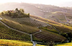 Images Dated 22nd January 2018: Serralunga d Alba, Langhe, Piedmont, Italy. Autumn landscape with vineyards and hills