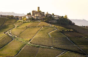 Serralunga d Alba, Langhe, Piedmont, Italy. Autumn landscape with vineyards and hills