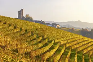 Borgo Prints: Serralunga D‚AoAlba and its castle with vineyards at sunset during autumn