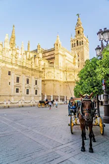Seville Cathedral, Seville, Andalusia, Spain