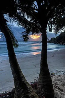La Digue Prints: Seychelles, La Digue, Anse Cocos beach, Indian Ocean