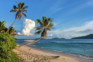 La Digue Prints: Seychelles, La Digue, Anse Fourmis beach, Indian Ocean