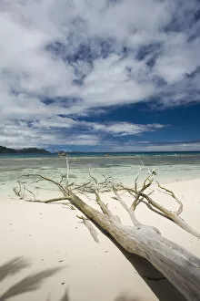 Seychelles, La Digue Island, Anse Severe beach