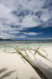 Images Dated 22nd September 2009: Seychelles, La Digue Island, Anse Severe beach