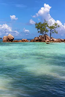 Praslin Prints: Seychelles, Praslin, Anse Boudin beach, Indian Ocean