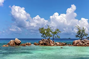 Praslin Prints: Seychelles, Praslin, Anse Boudin beach, Indian Ocean