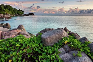 Praslin Prints: Seychelles, Praslin, Anse Citron beach, Indian Ocean