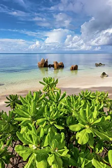 Praslin Prints: Seychelles, Praslin, Anse Citron beach, Indian Ocean