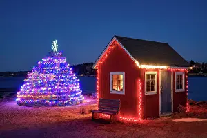 Christmas Lights Prints: Shack with holliday lights, Bailey's Islland, Maine, USA