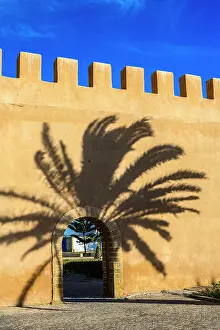 City Walls Prints: Shadows on the medina wall, Essaouira, Essaouira, Morocco