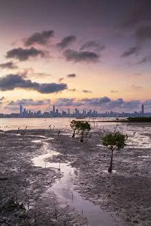 Border Prints: Shenzhen Bay Bridge from Lau Fau Shan at sunset, Hong Kong