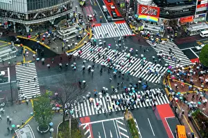 Commerce Prints: Shibuya Crossing in Tokyo Busiest Pedestrian Crossing in the World Tokyo, Japan, Asia