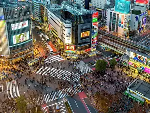 Commerce Prints: Shibuya Crossing in Tokyo Busiest Pedestrian Crossing in the World Tokyo, Japan, Asia