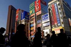 Shinjuku Gallery: Shinjuku, Tokyo
