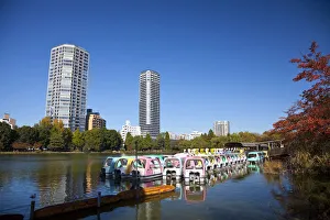 Ueno Park Prints: Shinobazu Pond, Ueno Park, Tokyo, Japan