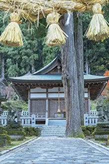 Shrine Collection: Shinto shrine, Ainokura, Gokayama, Toyama Prefecture, Japan