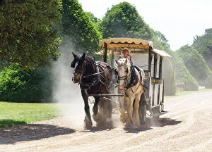 Dust Gallery: Shire horse carriage ride in The Great Fountain Garden, Hampton Court Palace, London, England
