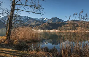 Kochelsee Prints: Shore of the Lake Kochel near Schlehdorf, Upper Bavaria, Bavaria, Germany