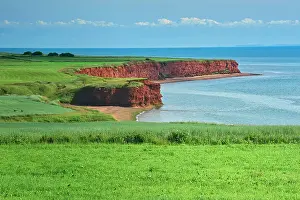 Brae Prints: Shoreline cliffs along the Northumberland Strait near Campbelton