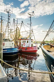 Nets Prints: Shrimp boats in the harbor of Greetsiel at sunrise, East Frisia, Lower Saxony, Germany