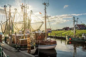 Ship Prints: Shrimp boats in the harbor of Greetsiel at sunrise, East Frisia, Lower Saxony, Germany