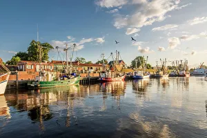 Nets Prints: Shrimp boats in the harbor of Greetsiel at sunrise, East Frisia, Lower Saxony, Germany