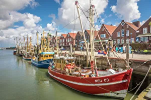 Nets Prints: Shrimp boats in the harbor of Neuharlingersiel, East Frisia, Lower Saxony, Germany