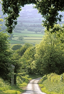 Country Side Gallery: Shropshire, England