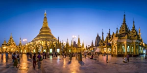 Shrine Collection: Shwedagon Pagoda in Yangon, Yangon Region, Myanmar