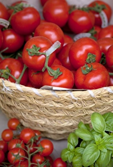 C Ulture Gallery: Sicily, Italy, Western Europe; Tomatoes and basil; staple items in the Southern Italian kitchen