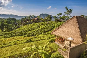Vegetation Collection: Sidemen, Rendang, Karangasem Regency, Bali, Indonesia. Thatched tourist cottages