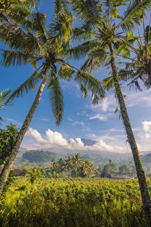 Volcanoes Prints: Sidemen valley, Karangasem Regency, Bali, Indonesia