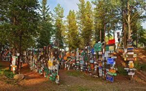 Images Dated 9th March 2023: Sign Post Forest Watson Lake, Yukon, Canada