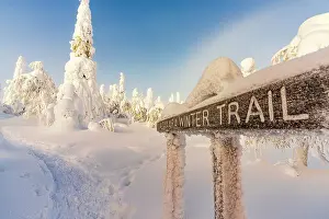 The Way Forward Prints: Signage of winter hiking trails in a snowy frozen forest at dawn