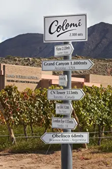 Wine Route Prints: Signs indicating elevation differences in meters inside the Bodega Colomewinery