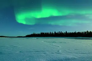 Copy Space Prints: Silhouette of frozen snowy forest under the bright sky with Northern Lights